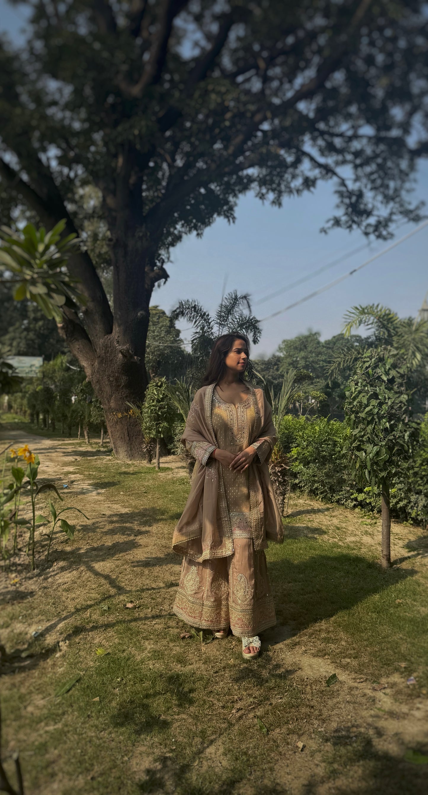 Padmavati Beige Sharara Set