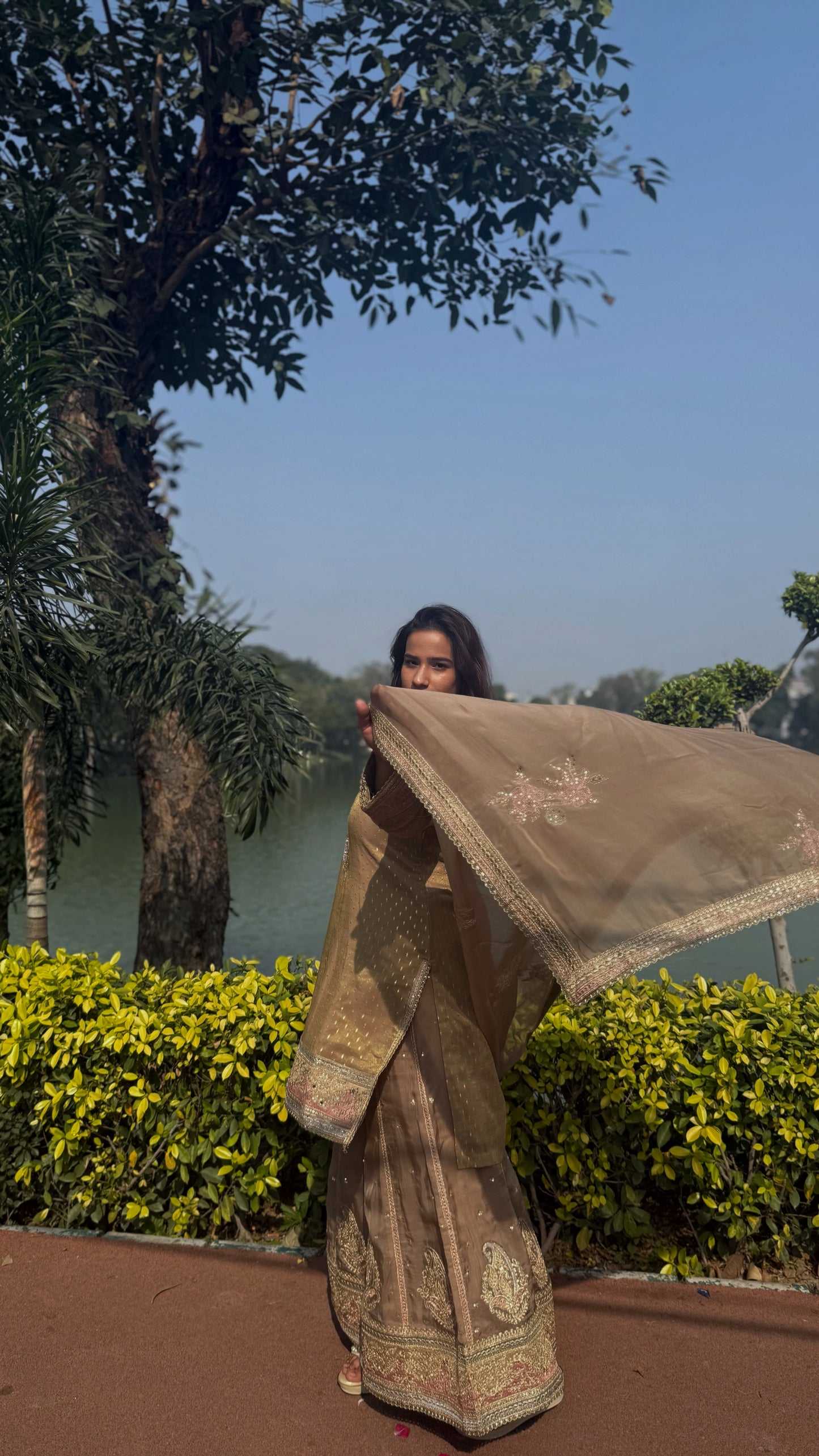 Padmavati Beige Sharara Set